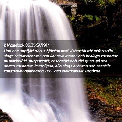 Picture 02 - 2 Mosebok 35:35 SV1917 - Han har uppfyllt deras hjärtan med vishet till - Bible Verse Picture