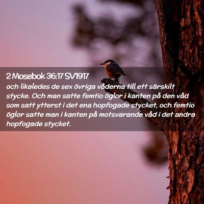 Picture 02 - 2 Mosebok 36:17 SV1917 - och likaledes de sex övriga våderna till ett - Bible Verse Picture