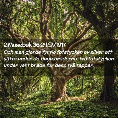 Picture 02 - 2 Mosebok 36:24 SV1917 - Och man gjorde fyrtio fotstycken av silver att - Bible Verse Picture