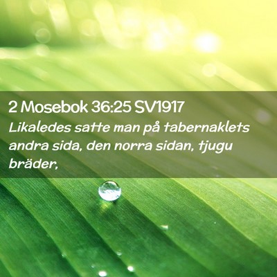 Picture 02 - 2 Mosebok 36:25 SV1917 - Likaledes satte man på tabernaklets andra sida, - Bible Verse Picture