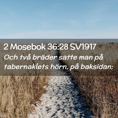 Picture 02 - 2 Mosebok 36:28 SV1917 - Och två bräder satte man på tabernaklets - Bible Verse Picture