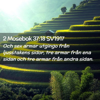 Picture 02 - 2 Mosebok 37:18 SV1917 - Och sex armar utgingo från ljusstakens sidor, - Bible Verse Picture