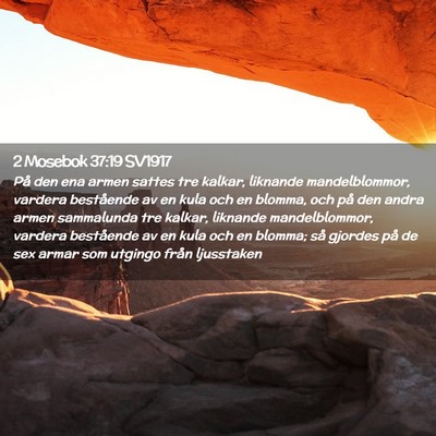 Picture 02 - 2 Mosebok 37:19 SV1917 - På den ena armen sattes tre kalkar, liknande - Bible Verse Picture