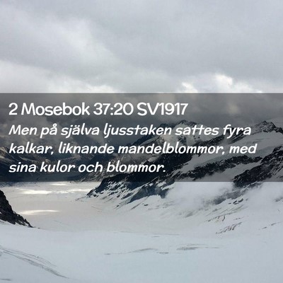 Picture 02 - 2 Mosebok 37:20 SV1917 - Men på själva ljusstaken sattes fyra kalkar, - Bible Verse Picture