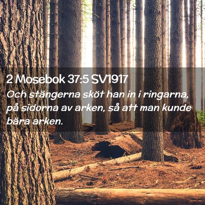 Picture 02 - 2 Mosebok 37:5 SV1917 - Och stängerna sköt han in i ringarna, på - Bible Verse Picture
