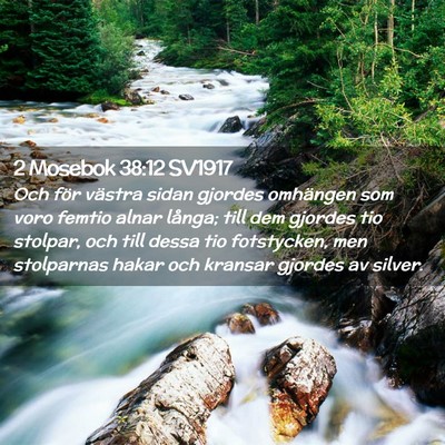 Picture 02 - 2 Mosebok 38:12 SV1917 - Och för västra sidan gjordes omhängen som voro - Bible Verse Picture