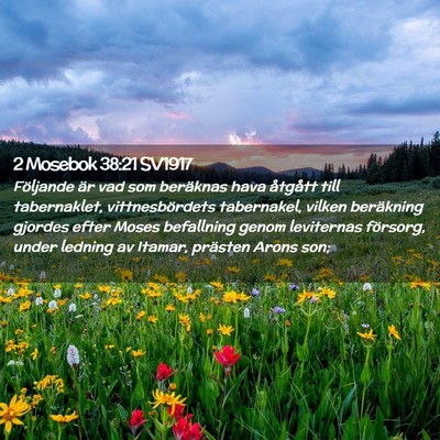 Picture 02 - 2 Mosebok 38:21 SV1917 - Följande är vad som beräknas hava åtgått - Bible Verse Picture