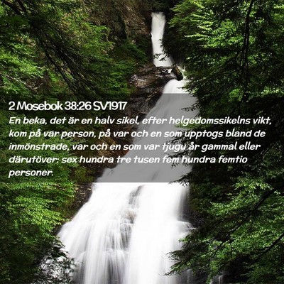 Picture 02 - 2 Mosebok 38:26 SV1917 - En beka, det är en halv sikel, efter - Bible Verse Picture