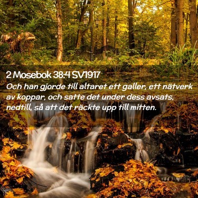 Picture 02 - 2 Mosebok 38:4 SV1917 - Och han gjorde till altaret ett galler, ett - Bible Verse Picture