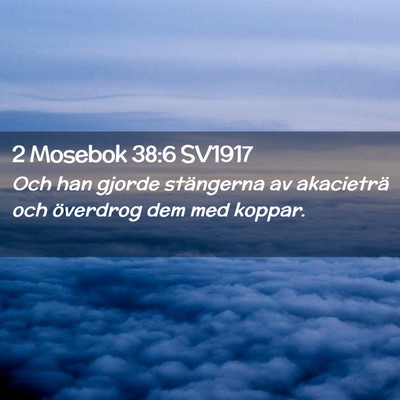 Picture 02 - 2 Mosebok 38:6 SV1917 - Och han gjorde stängerna av akacieträ och - Bible Verse Picture