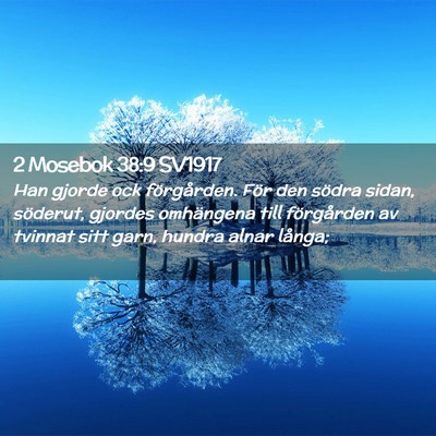 Picture 02 - 2 Mosebok 38:9 SV1917 - Han gjorde ock förgården. För den södra - Bible Verse Picture