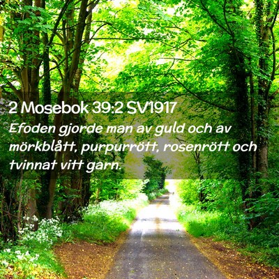 Picture 02 - 2 Mosebok 39:2 SV1917 - Efoden gjorde man av guld och av mörkblått, - Bible Verse Picture