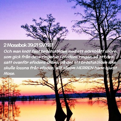 Picture 02 - 2 Mosebok 39:21 SV1917 - Och man knöt fast bröstskölden med ett - Bible Verse Picture