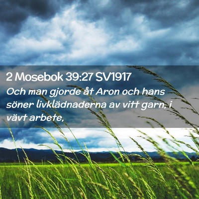 Picture 02 - 2 Mosebok 39:27 SV1917 - Och man gjorde åt Aron och hans söner - Bible Verse Picture