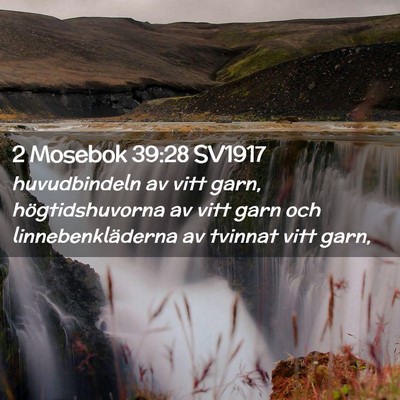 Picture 02 - 2 Mosebok 39:28 SV1917 - huvudbindeln av vitt garn, högtidshuvorna av - Bible Verse Picture