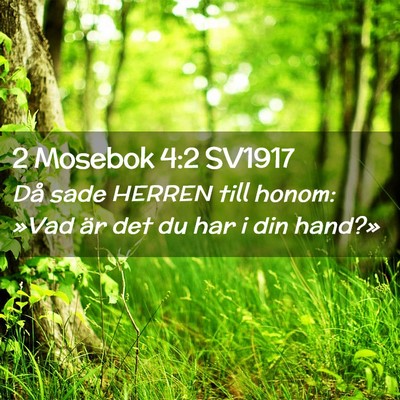 Picture 02 - 2 Mosebok 4:2 SV1917 - Då sade HERREN till honom: »Vad är det du har - Bible Verse Picture