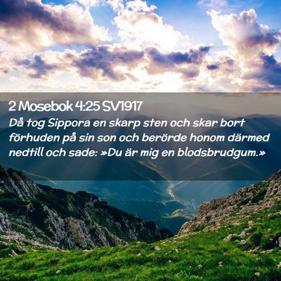 Picture 02 - 2 Mosebok 4:25 SV1917 - Då tog Sippora en skarp sten och skar bort - Bible Verse Picture