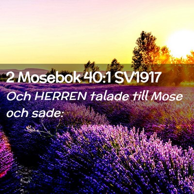 Picture 02 - 2 Mosebok 40:1 SV1917 - Och HERREN talade till Mose och - Bible Verse Picture