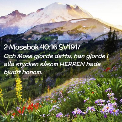 Picture 02 - 2 Mosebok 40:16 SV1917 - Och Mose gjorde detta; han gjorde i alla stycken - Bible Verse Picture