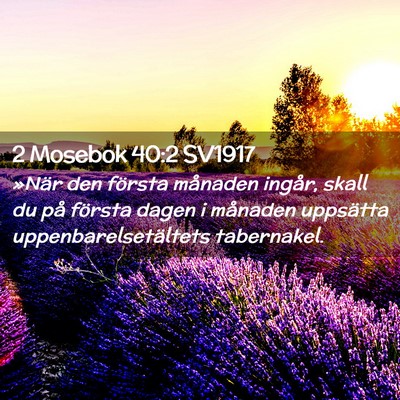 Picture 02 - 2 Mosebok 40:2 SV1917 - »När den första månaden ingår, skall du på - Bible Verse Picture