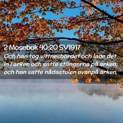 Picture 02 - 2 Mosebok 40:20 SV1917 - Och han tog vittnesbördet och lade det in i - Bible Verse Picture
