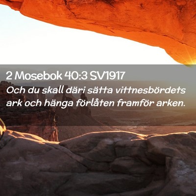 Picture 02 - 2 Mosebok 40:3 SV1917 - Och du skall däri sätta vittnesbördets ark och - Bible Verse Picture