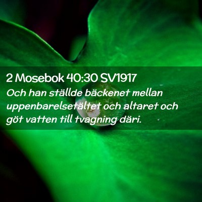 Picture 02 - 2 Mosebok 40:30 SV1917 - Och han ställde bäckenet mellan - Bible Verse Picture