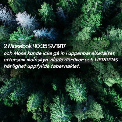 Picture 02 - 2 Mosebok 40:35 SV1917 - och Mose kunde icke gå in i uppenbarelsetältet, - Bible Verse Picture