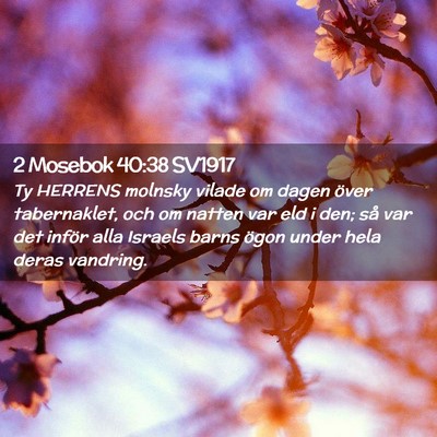 Picture 02 - 2 Mosebok 40:38 SV1917 - Ty HERRENS molnsky vilade om dagen över - Bible Verse Picture