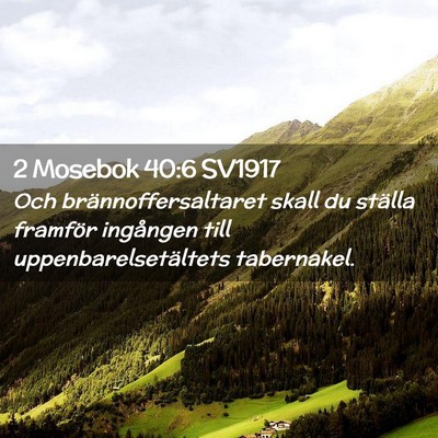 Picture 02 - 2 Mosebok 40:6 SV1917 - Och brännoffersaltaret skall du ställa framför - Bible Verse Picture