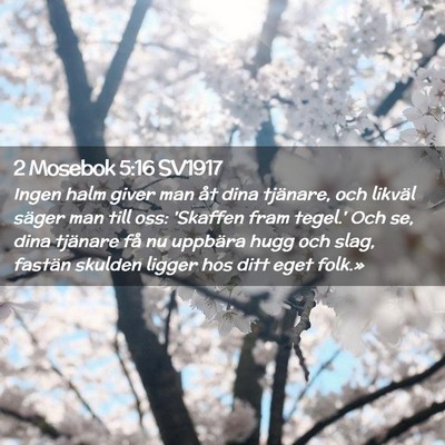 Picture 02 - 2 Mosebok 5:16 SV1917 - Ingen halm giver man åt dina tjänare, och - Bible Verse Picture
