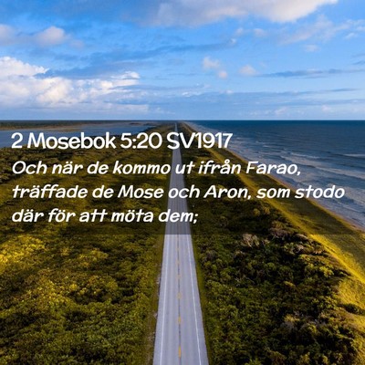 Picture 02 - 2 Mosebok 5:20 SV1917 - Och när de kommo ut ifrån Farao, träffade de - Bible Verse Picture