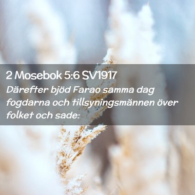 Picture 02 - 2 Mosebok 5:6 SV1917 - Därefter bjöd Farao samma dag fogdarna och - Bible Verse Picture