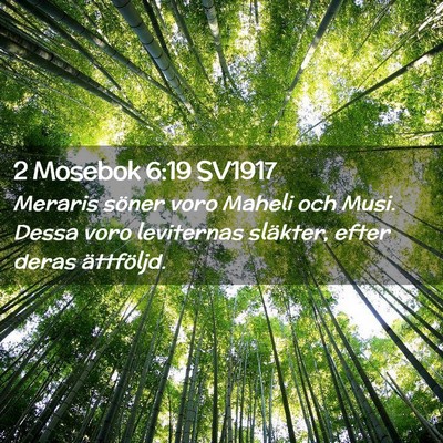 Picture 02 - 2 Mosebok 6:19 SV1917 - Meraris söner voro Maheli och Musi. Dessa voro - Bible Verse Picture