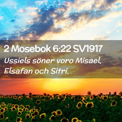 Picture 02 - 2 Mosebok 6:22 SV1917 - Ussiels söner voro Misael, Elsafan och - Bible Verse Picture