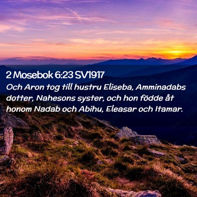 Picture 02 - 2 Mosebok 6:23 SV1917 - Och Aron tog till hustru Eliseba, Amminadabs - Bible Verse Picture