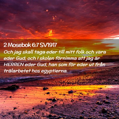 Picture 02 - 2 Mosebok 6:7 SV1917 - Och jag skall taga eder till mitt folk och vara - Bible Verse Picture