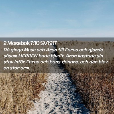 Picture 02 - 2 Mosebok 7:10 SV1917 - Då gingo Mose och Aron till Farao och gjorde - Bible Verse Picture
