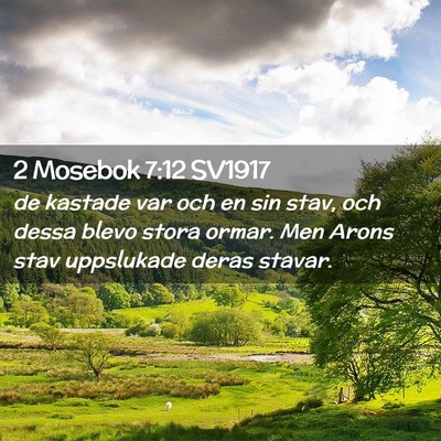 Picture 02 - 2 Mosebok 7:12 SV1917 - de kastade var och en sin stav, och dessa blevo - Bible Verse Picture