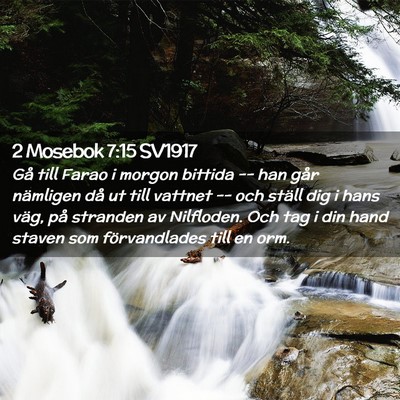Picture 02 - 2 Mosebok 7:15 SV1917 - Gå till Farao i morgon bittida -- han går - Bible Verse Picture