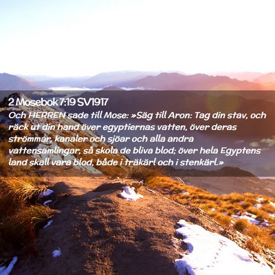 Picture 02 - 2 Mosebok 7:19 SV1917 - Och HERREN sade till Mose: »Säg till Aron: Tag - Bible Verse Picture