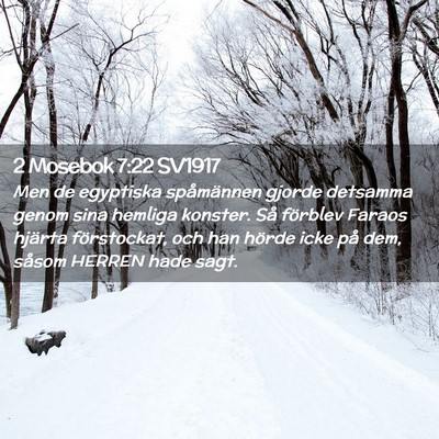 Picture 02 - 2 Mosebok 7:22 SV1917 - Men de egyptiska spåmännen gjorde detsamma - Bible Verse Picture