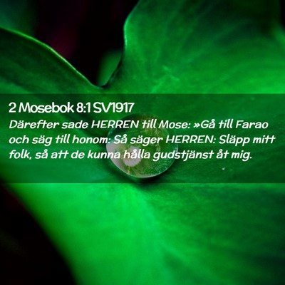 Picture 02 - 2 Mosebok 8:1 SV1917 - Därefter sade HERREN till Mose: »Gå till Farao - Bible Verse Picture