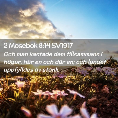 Picture 02 - 2 Mosebok 8:14 SV1917 - Och man kastade dem tillsammans i högar, här en - Bible Verse Picture
