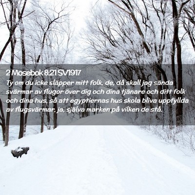 Picture 02 - 2 Mosebok 8:21 SV1917 - Ty om du icke släpper mitt folk, de, då skall - Bible Verse Picture