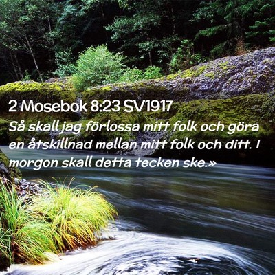 Picture 02 - 2 Mosebok 8:23 SV1917 - Så skall jag förlossa mitt folk och göra en - Bible Verse Picture