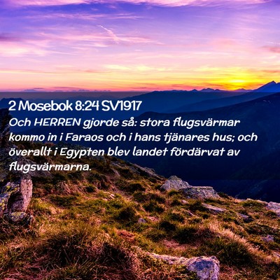 Picture 02 - 2 Mosebok 8:24 SV1917 - Och HERREN gjorde så: stora flugsvärmar kommo - Bible Verse Picture