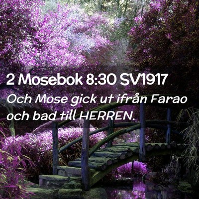 Picture 02 - 2 Mosebok 8:30 SV1917 - Och Mose gick ut ifrån Farao och bad till - Bible Verse Picture