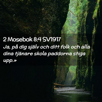 Picture 02 - 2 Mosebok 8:4 SV1917 - Ja, på dig själv och ditt folk och alla dina - Bible Verse Picture