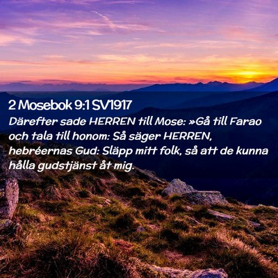 Picture 02 - 2 Mosebok 9:1 SV1917 - Därefter sade HERREN till Mose: »Gå till Farao - Bible Verse Picture